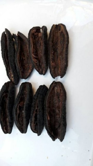 Premium Dried Sea Cucumber Patallus Mollis - Rich in Nutrients and Versatile