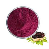 Best Price Anthocyanidins, Black Elderberry Extract Powder