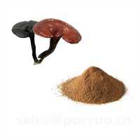 Ganoderma Extract, Reishi mushroom Extract, Ling Zhi Extract