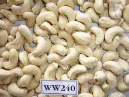 Raw And Processed Cashew Nuts.
