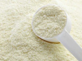 Skimmed Milk Powder