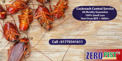 Cockroach Control Service