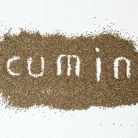 Wholesale Cumin Seeds Supplier from India - Best B2B Prices