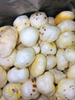 Fox nut, Gorgon nuts, Lotus seeds, Makhana