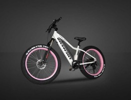 Electric bike/pedelec-TS-EB003