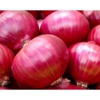 Fresh onion