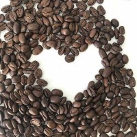 Arabica Coffee Beans - Wholesale and Best Price