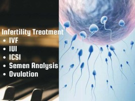 Laproscopic IVF, Infertility Treatment