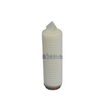 APC series Absolute Pleated Filter Cartridges