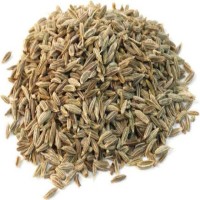 Indian Cumin Seeds for Wholesale - Buy Bulk