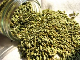 Fennel Seeds