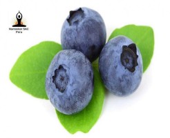 Premium Peruvian Fresh Blueberries: Wholesale Rates