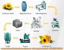 Sunflower oil processing milling machine cooking oil extraction palnts