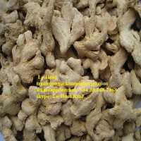 DRIED GINGER WITH HIGH QUALITY