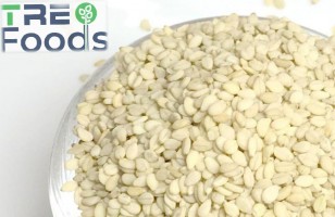 HULLED SESAME SEED - High-Quality Exporter from India