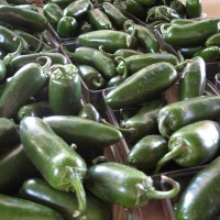 Fresh/Dried And Sliced Jalapeno Peppers