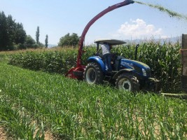 Maize Corn Silage Row Independent Harvester Machine