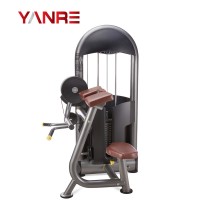 Commercial Gym Equipment Body Building Gymnastic Equipment Biceps Curl