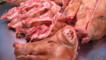 Frozen pork leg/ear/tail/head