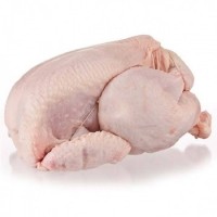 Frozen Chicken Wing, Drumstick, Breast, Feet, Gizard - Wholesale Supply