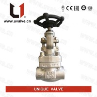 High-Quality ASTM A182 F316 Gate Valve: Wholesale Supplier from China