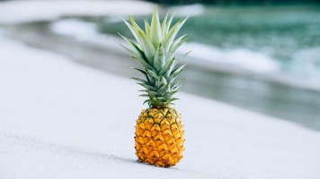 Pineapple (Ananas Comosus) - Premium Wholesale Supplier from India