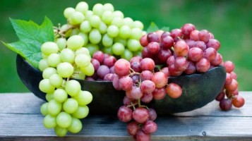 Premium Indian Grapes - Vitis Vinifera by Pisum Food Services Pvt Ltd