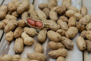 Peanuts from South Africa - MZI Brown Peanuts, Wholesale Supplier