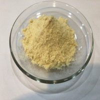 Premium Freeze Dried Durian Powder - Authentic Thai Delicacy