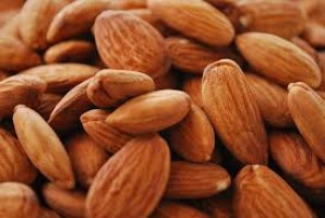 Raw Almond Kernel / Almond Nut / Sweet Almon