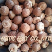 Dried whole betel nu / areca nut t from reputed supplier in Vietnam