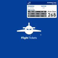 Air Travel Ticket