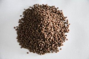 Diammonium phosphate fertilizer (DAP)