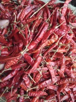 Dry Indian Red Chillies - Wholesale Rates, Quality Assurance
