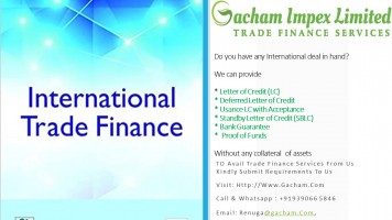 Letter of Credit Services