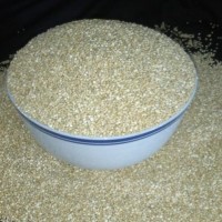 Organic White Quinoa Seeds from India - Quessentials Private Limited