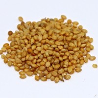 Premium Foxtail Millet: Source of High-Quality Fodder & Human Consumption