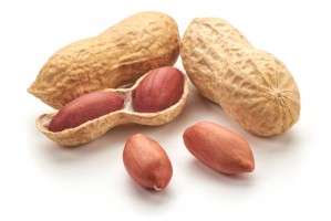 Peanut Bold, Peanut Java