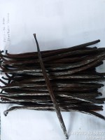 Premium Organic Black Planifolia Vanilla Beans - Exquisite Quality from Indonesia