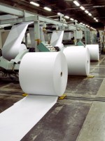Thermal paper jumbo rolls manufacturer