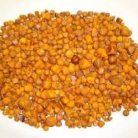 High quality ox/cow gallstones available