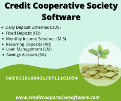 High-Quality Credit Cooperative Software for Efficient Account Management