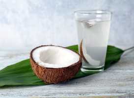 Pure Organic Coconut Water - Sourceing from India's Natural Bounty