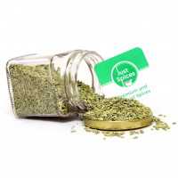 Fennel Seed - Singapore 99 - Green