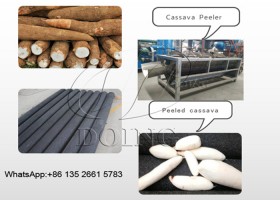 Peeling machine for cassava and garri processing plant