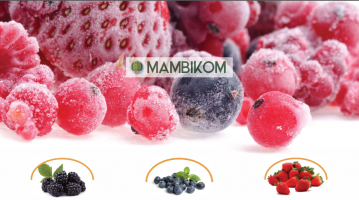 IQF Frozen fruit: sour cherry, strawberry, raspberry, blackberry