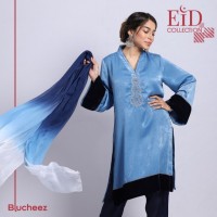 Regular fit Zardozi Kameez