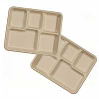 Lunch Tray Biodegradable 5 Compartment Meal Foam Containers