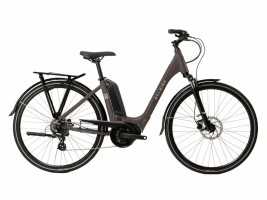 RALEIGH Motus Lowstep 2020 Electric Hybrid Bike