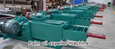 Durable reasonable price double screw palm oil pressing machine